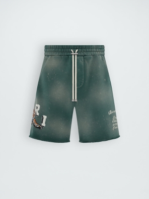 Pantalones Cortos Amiri Vintage Tiger Sweatshort Hombre Verde | 4328-FQGCB
