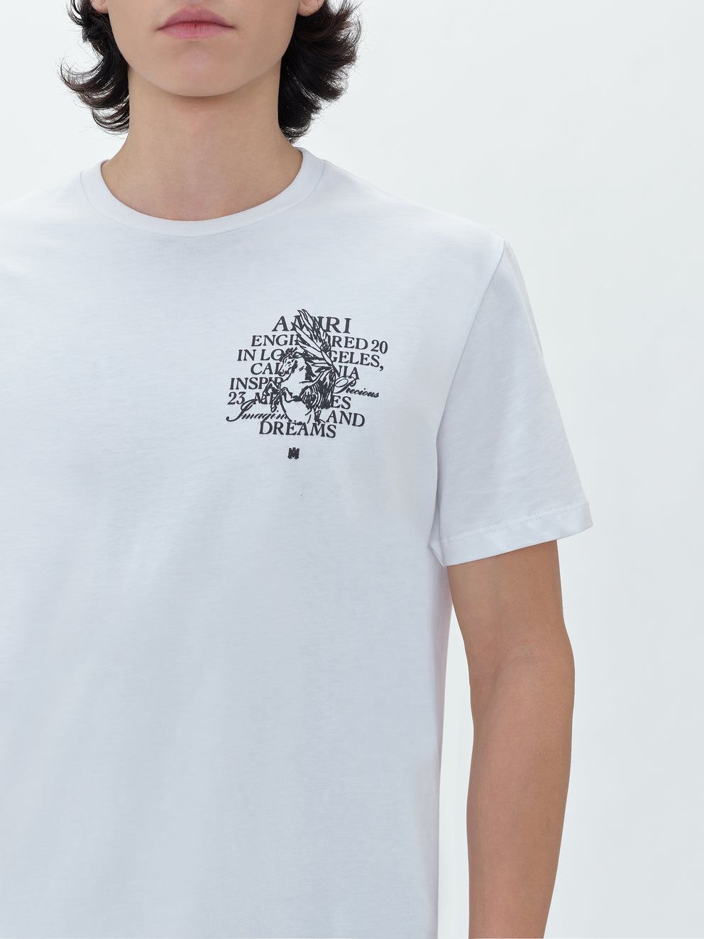 Camisetas Running Amiri Precious Memories Hombre Blancas | 1496-CWBZU